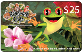 Rainforest Cafe Gift Cards