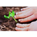 Flower and vegetable seed sales  - 10 year old 