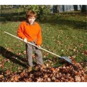 Leaf raking and cleanup - 12 year old 