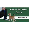 Canine training assistant - 15 year old 