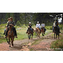Horseback riding instructor Summer Jobs
