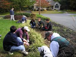 fifteen year old yard work job